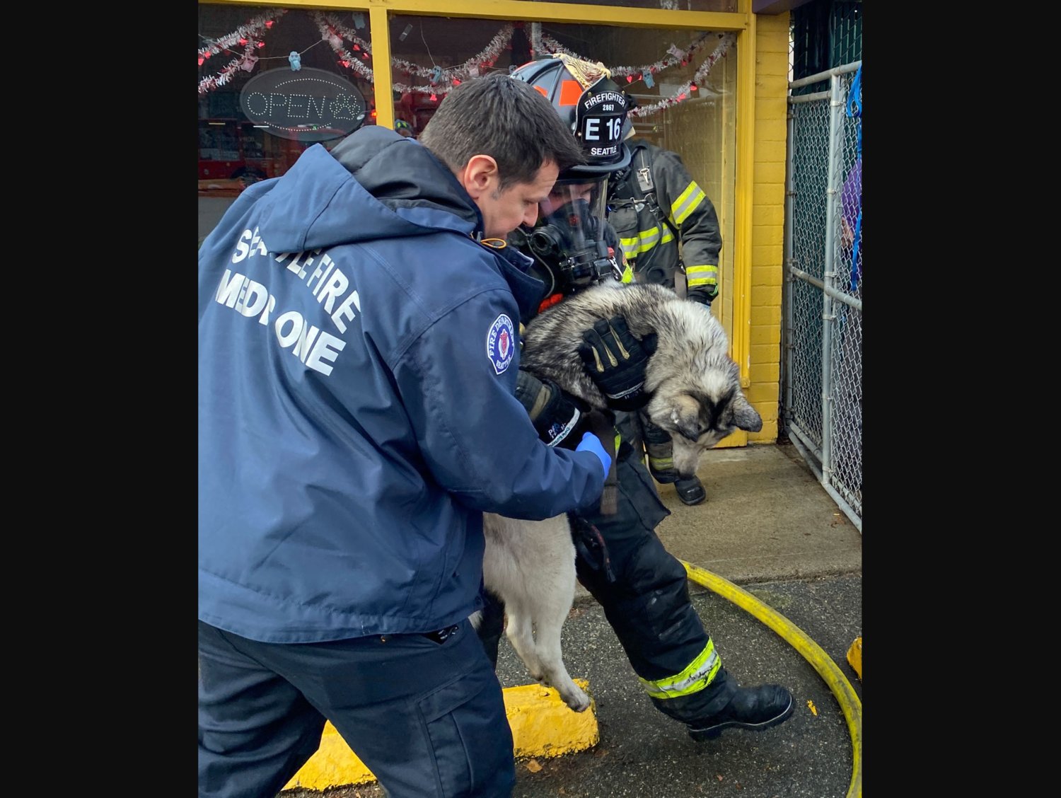 Seattle firefighters and staff from a Lake City doggy day care rescued dozens of dogs from a fire Wednesday.